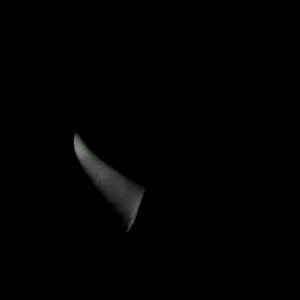 Meet your Posher, Wayne